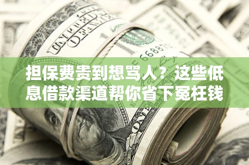 济南担保费贵到想骂人？这些低息借款渠道帮你省下冤枉钱