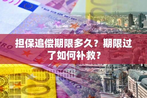济南担保追偿期限多久？期限过了如何补救？