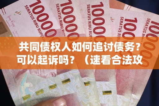 济南共同债权人如何追讨债务？可以起诉吗？（速看合法攻略）